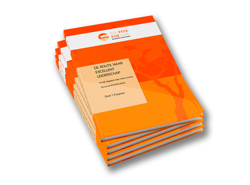 Whitepaper De route naar excellent leiderschap De route naar excellent leiderschap, Gratis whitepaper, Big five for life business cover