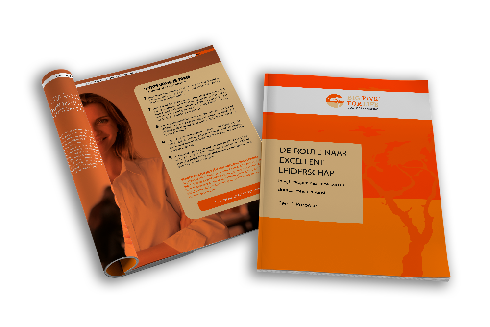 De route naar excellent leiderschap, Gratis whitepaper, Big five for life business cover