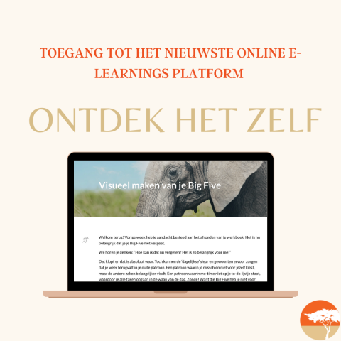 Life Safari workshop Life Safari workshop